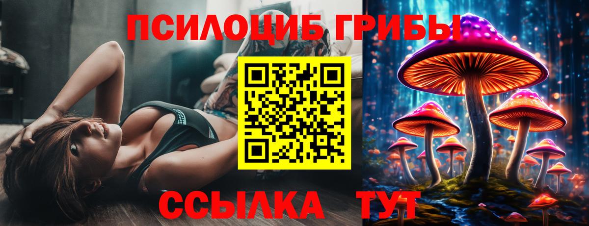 Псилоцибиновые грибы Psilocybe Альметьевск
