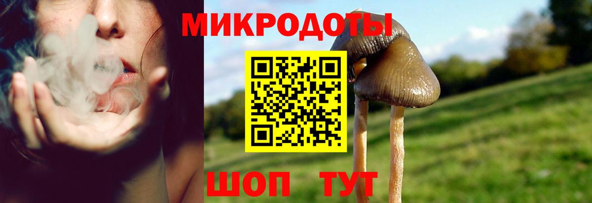 Альметьевск  Псилоцибиновые грибы мицелий  Вход с VPN 